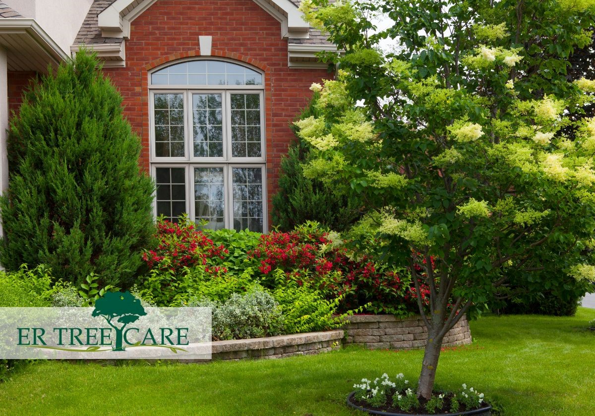 : Work with ER Tree Care, to solve all your landscaping problems. Contact us!