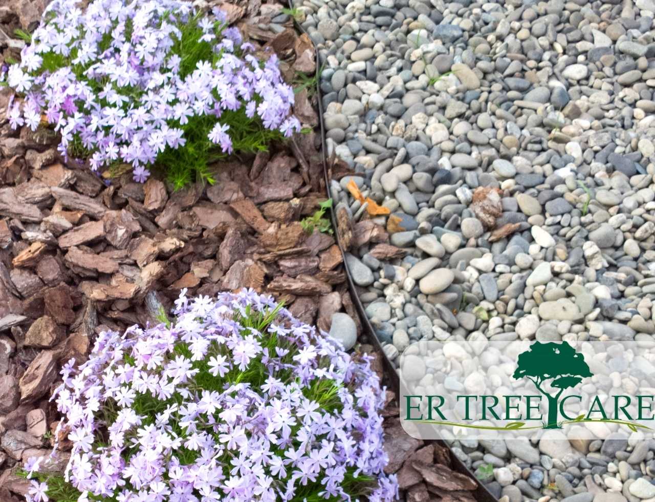 Explores ideas to transform your garden with rocks and mulch