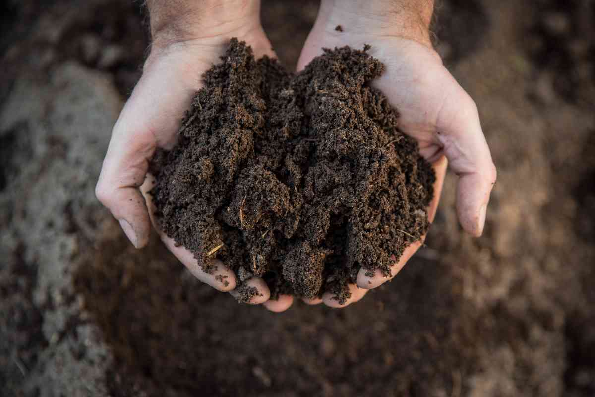 Soil preparation techniques in a garden for winter resilience.