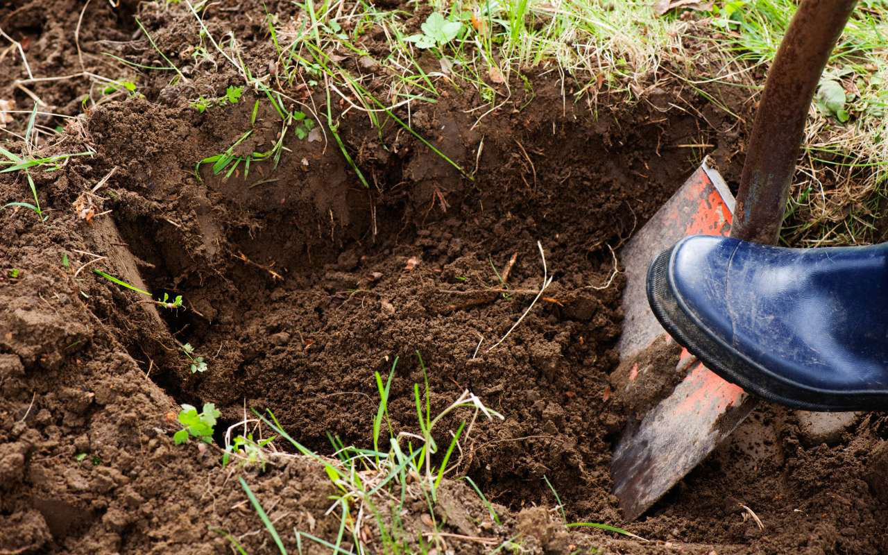 A person digging a wide hole.