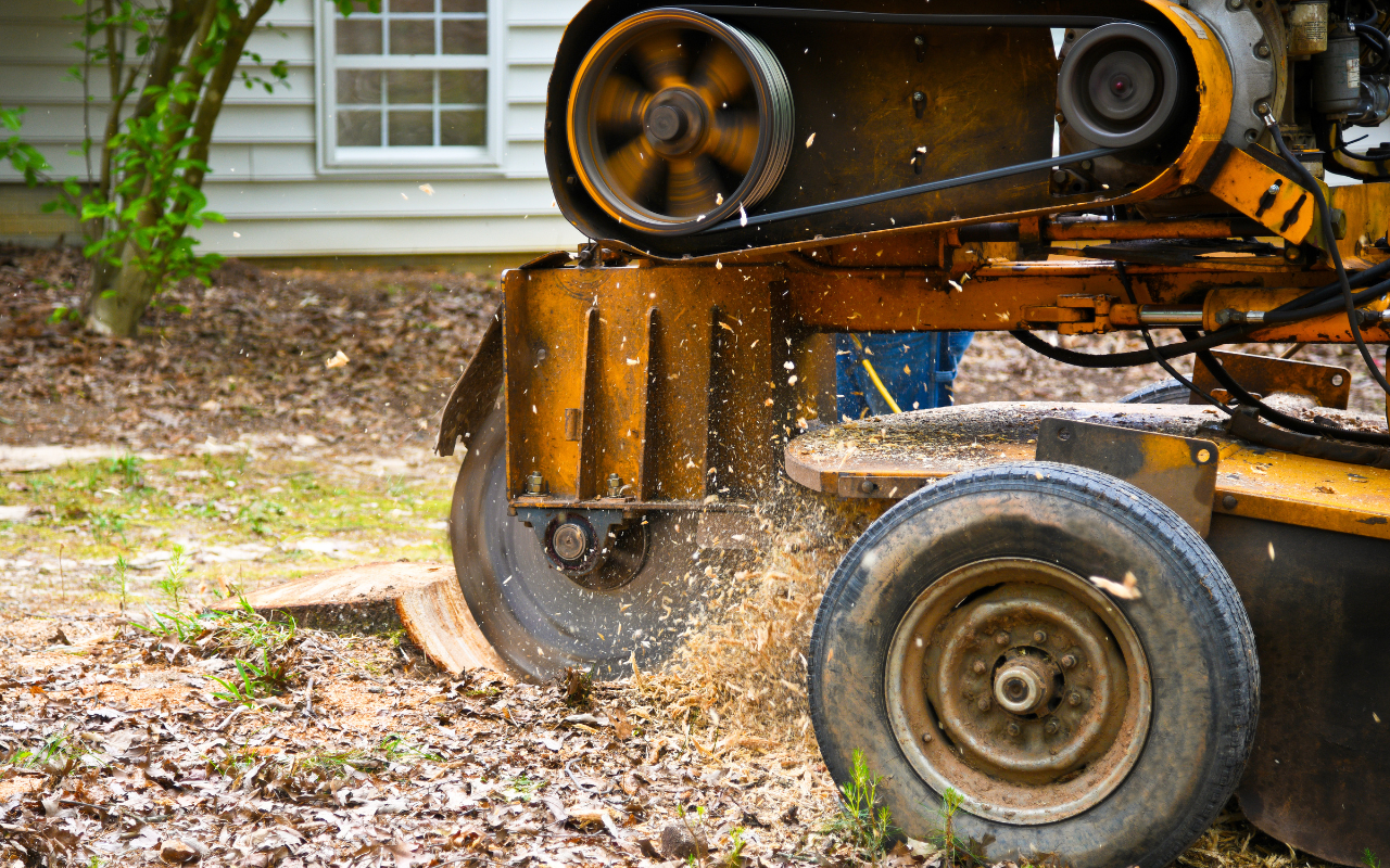 Essential Tips on How to Choose a Stump Grinding Service.