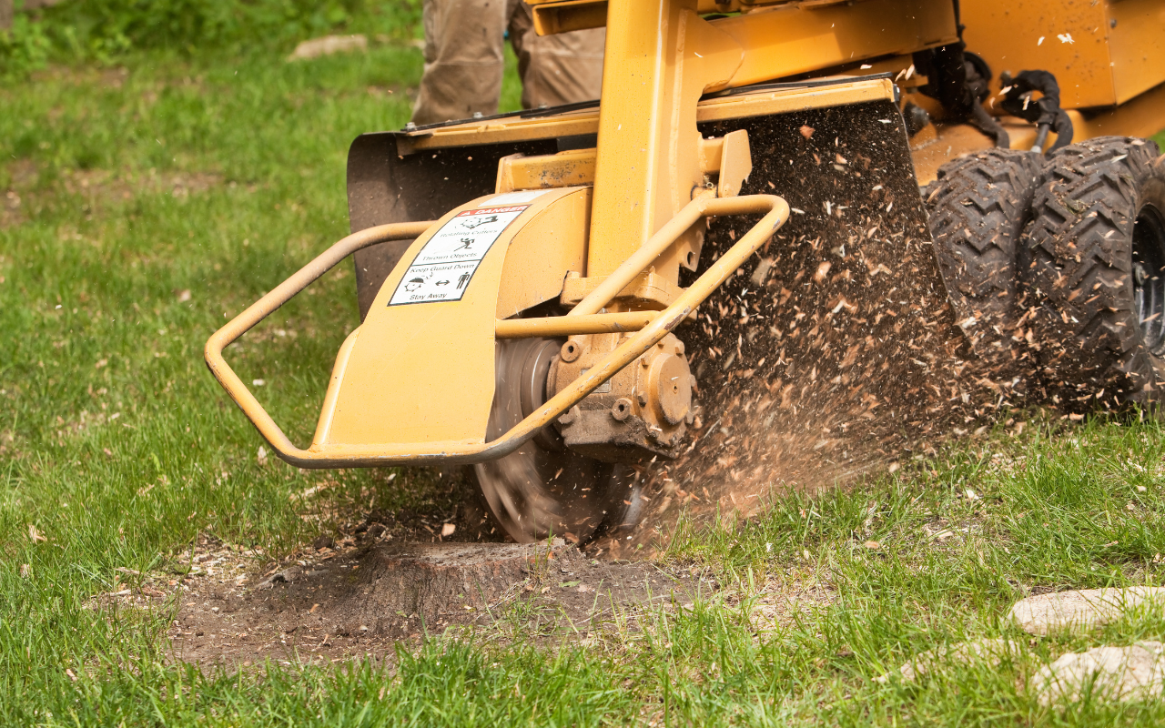 Guide to Choosing a Stump Grinding Service.