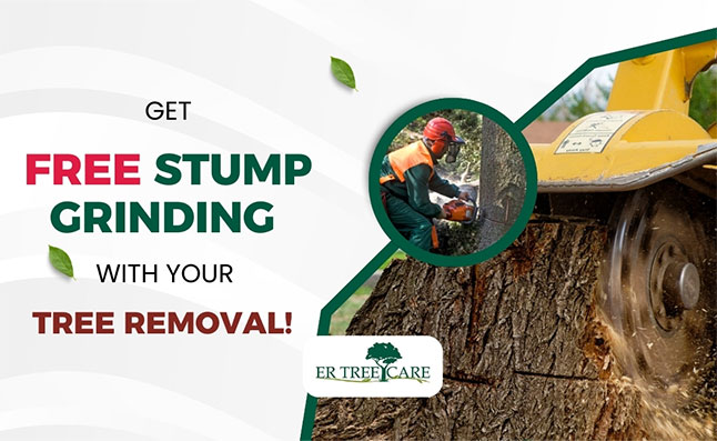 Get Free Stump Grinding with Your Tree Removal