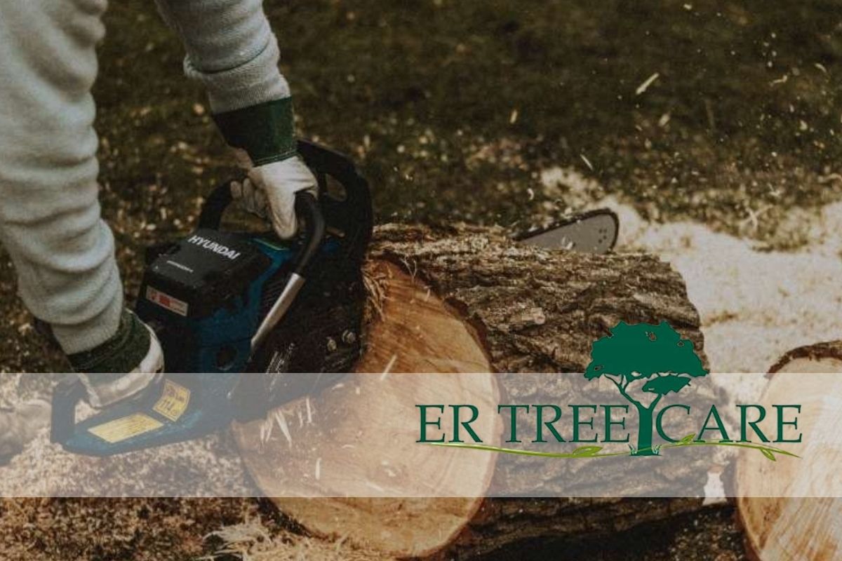 the cheapest time of year for tree removal